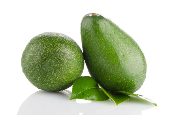 Avocado's op wit — Stockfoto