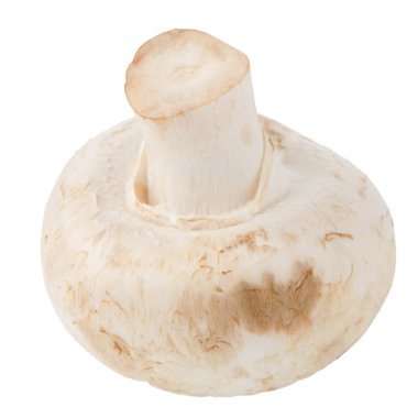 champignon mantarı