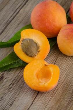 yaprakları ile kayısı