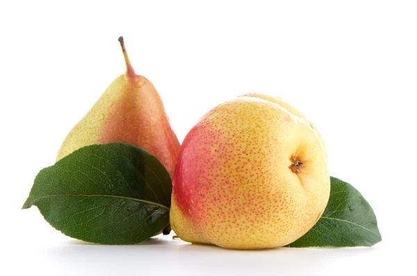 Two ripe pears — Stock Photo, Image