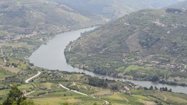 douro Valley teraslı üzüm bağları