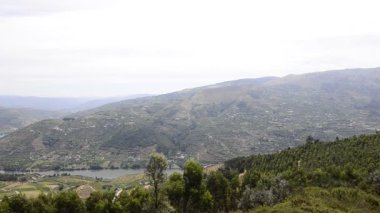 douro Valley teraslı üzüm bağları