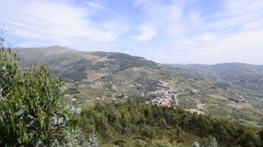 douro Valley teraslı üzüm bağları