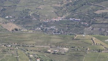 douro Valley teraslı üzüm bağları