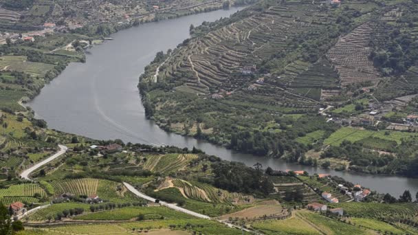 Terasovitých vinic v údolí řeky douro — Stock video