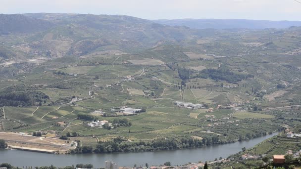 Tarasowe winnic w dolinie douro — Wideo stockowe