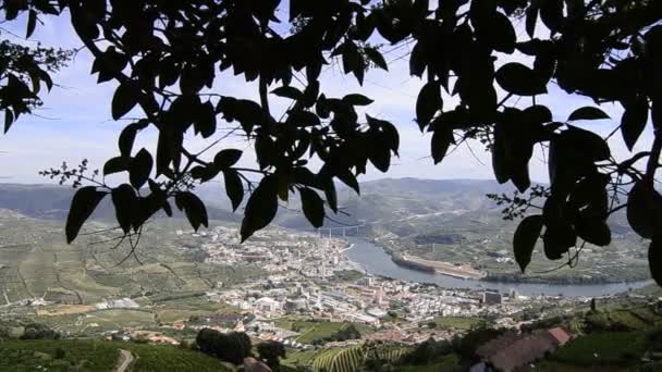 계단식된 포도 Douro 밸리 — 비디오