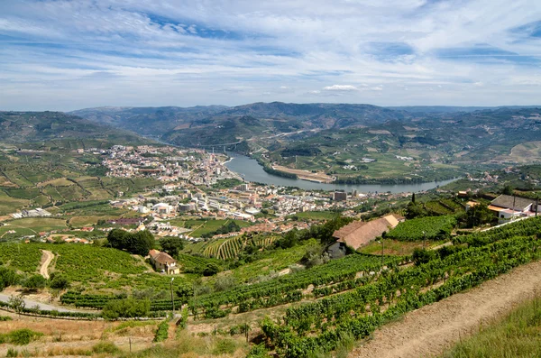 Regua, vineyars in Douro Valley — Stock Photo, Image