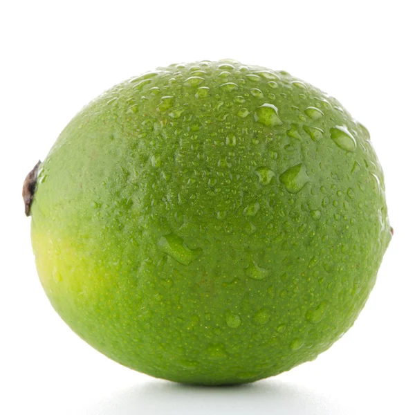 Färsk grön lime — Stockfoto