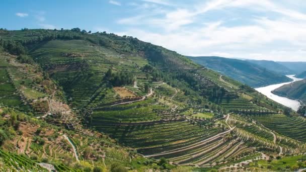 Douro Valley Timelapse — Stok video