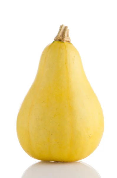 Calabaza amarilla — Foto de Stock