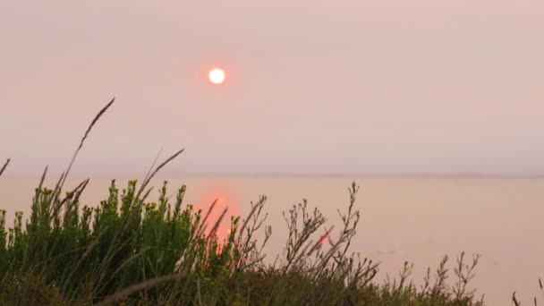 Схід сонця від берега — стокове відео