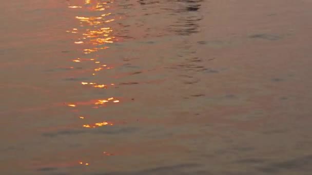 Sunrise from fishing pier — Stock Video