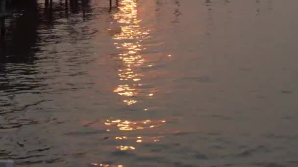 Sunrise from fishing pier — Stock Video