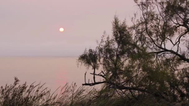 Nascer do sol da costa — Vídeo de Stock