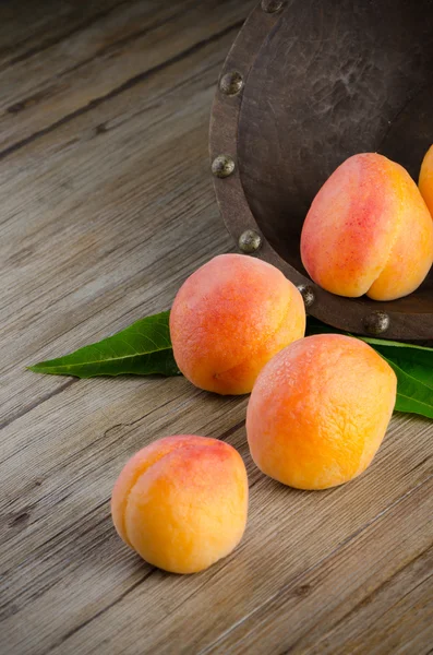 Apricots with leaves — Stock Photo, Image