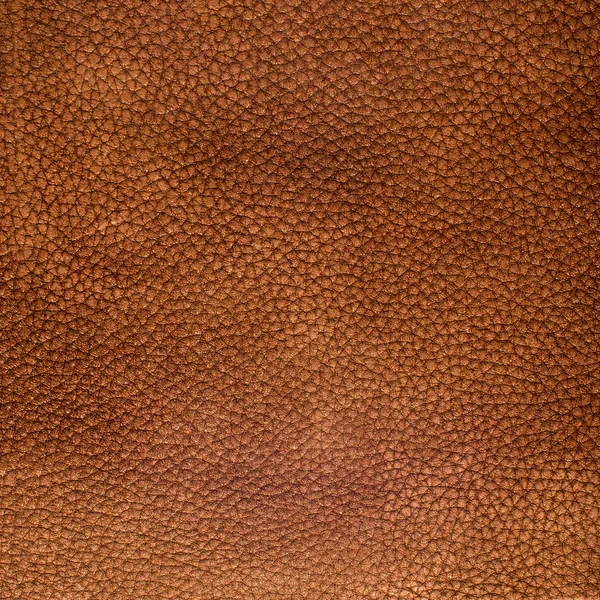 Brown leather texture closeup — Stock Photo, Image