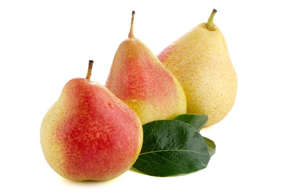 Three ripe pears — Stock Photo, Image