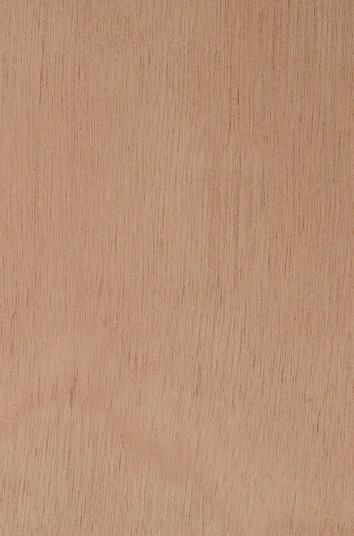Gul trä textur — Stockfoto