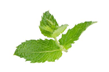 Taze nane yakın çekim