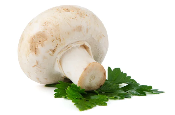 Champignon mushroom and parsley leaves — Stock Photo, Image