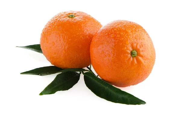 Mangerinas maduras o mandarina —  Fotos de Stock