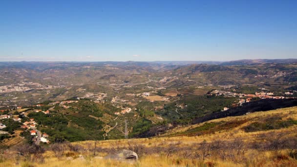 Terraced vineyards in Douro Valley — Stock Video