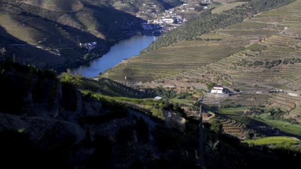 Terasovitých vinic v údolí řeky douro — Stock video