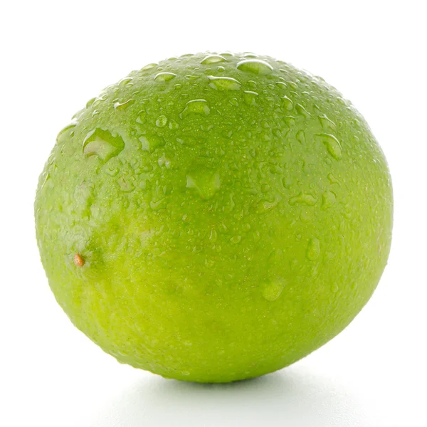 Färsk grön lime — Stockfoto