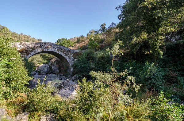 Opadas-Brücke — Stockfoto