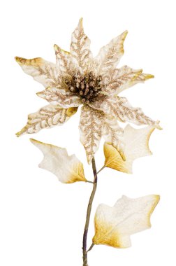 beyaz christmas dekorasyon