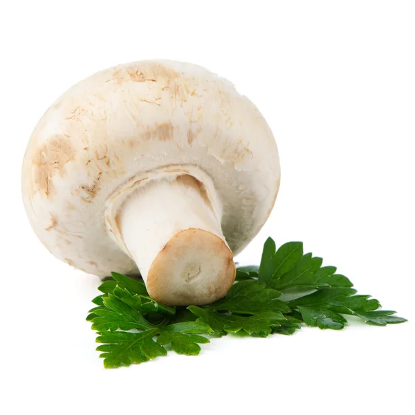 Champignon mushroom and parsley leaves — Stock Photo, Image