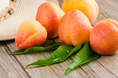 yaprakları ile kayısı