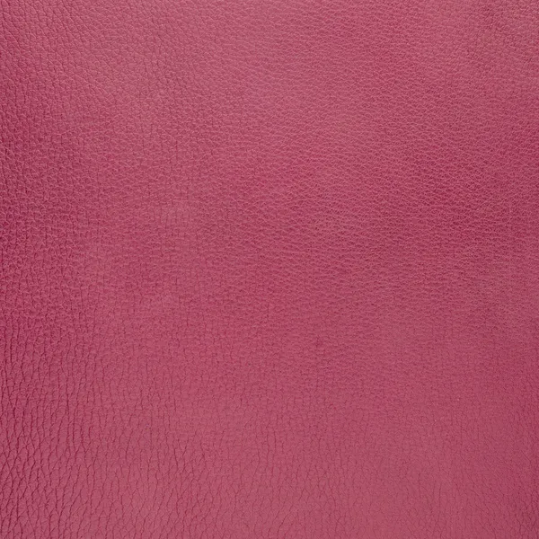 Pink suede — Stock Photo, Image