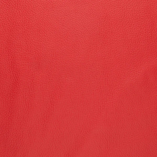 Red leather — Stock Photo, Image