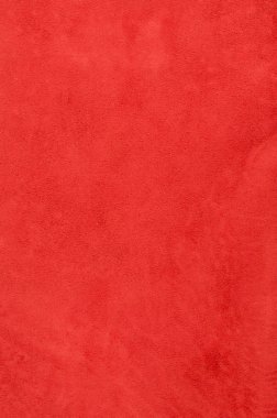 kahverengi chamois doku