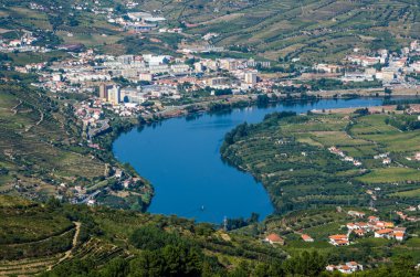 Douro Vadisindeki üzüm bağları