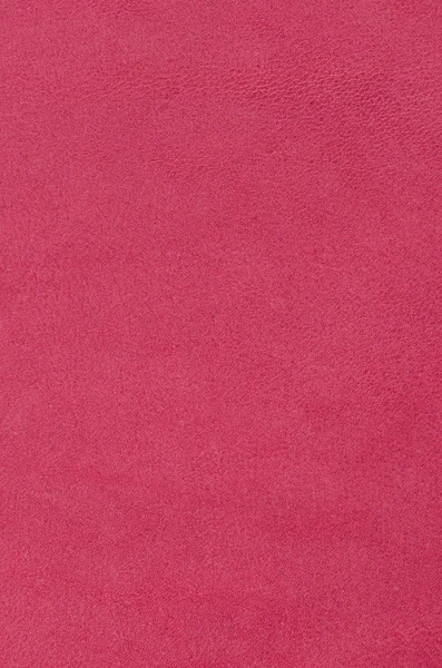 Gamuza rosa —  Fotos de Stock