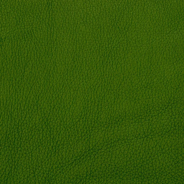 Textura de cuero verde primer plano —  Fotos de Stock