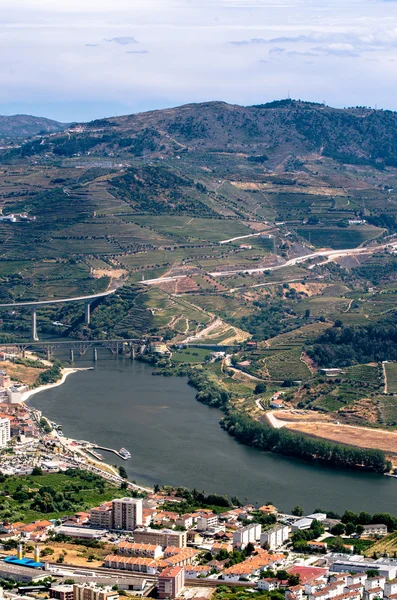 Regua, vineyars in Douro Valley — Stock Photo, Image