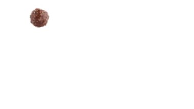 Çikolatalı bonbon