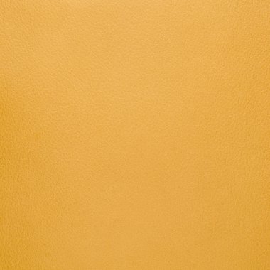 Sarı deri