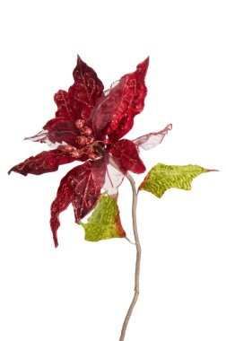 Kırmızı christmas dekorasyon