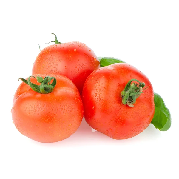 Czerwony dojrzały pomidor — Zdjęcie stockowe