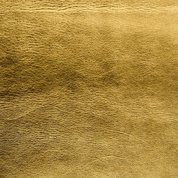 黄金色の革 — ストック写真