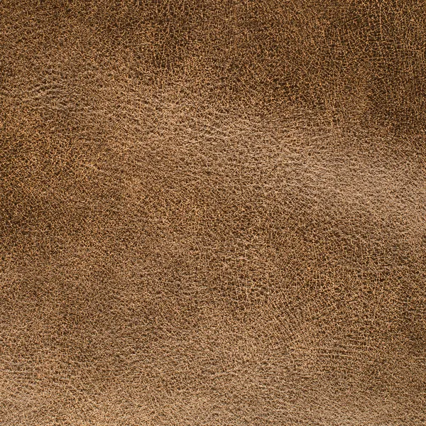 Brown leather texture closeup — Stock Photo, Image