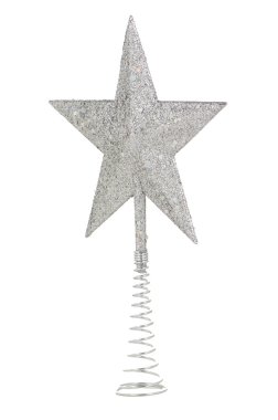 Gümüş Noel yıldızı