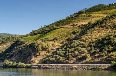 Douro Vadisi