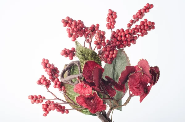 Red Christmas decoration — Stock Photo, Image