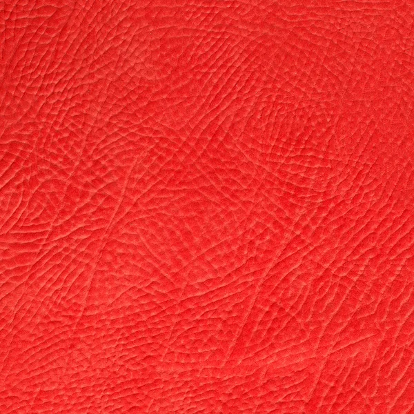 Red leather — Stock Photo, Image